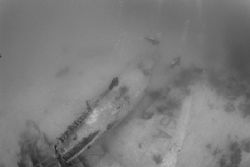 Roatan - shore dive from Fantasy Island. Nikon F80 w/16mm... by Ian Brooks 